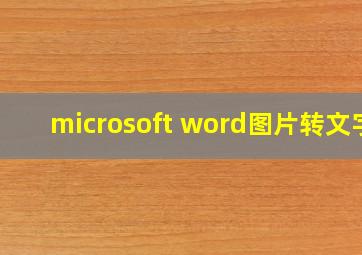 microsoft word图片转文字